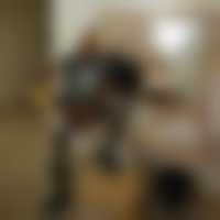 صورة العضو