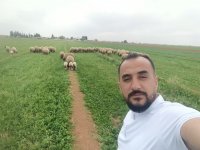 صورة العضو