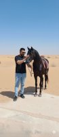 موقع زواج